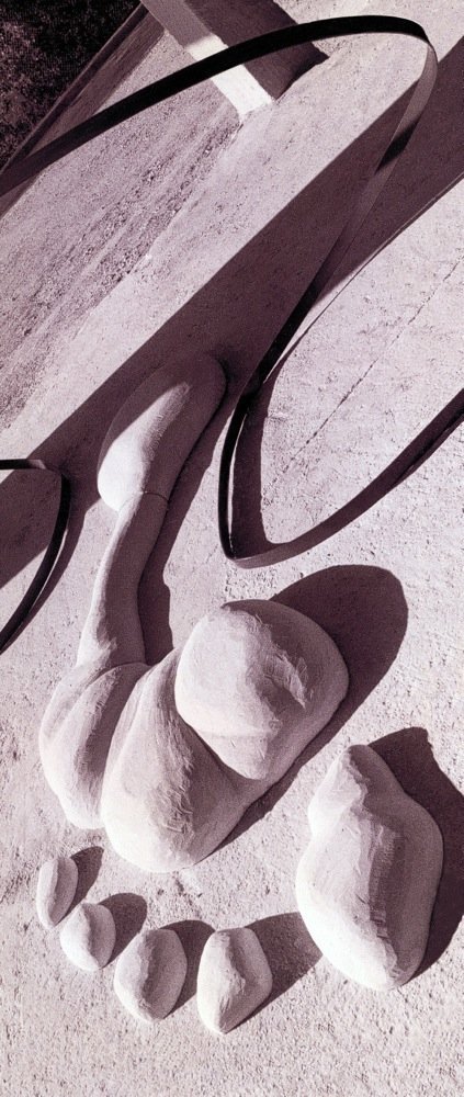 The Footprint